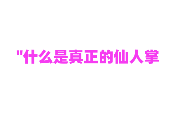 "什么是真正的仙人掌？它们是如何适应沙漠生活的？"